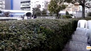 一区二区亚洲非洲日本🈲日韩精品有码自拍🈲岩崎千鹤在线无码